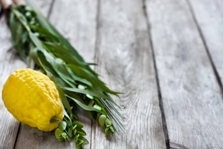 Symbols of Sukkot